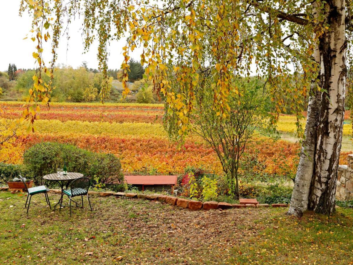 Apartment Am Weinberg By Interhome Bad Dürkheim Eksteriør billede